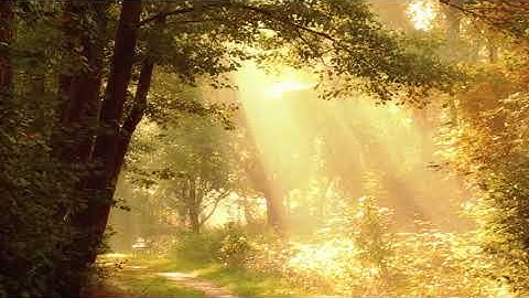 #4 Luyện nghe thụ động Tiếng Đức khi ngủ cho người mới bắt đầu - Kinh nghiệm Tự học tiếng đức