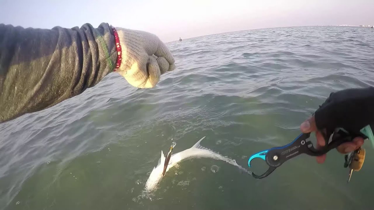 Team MEGABASS - Qatar Angler 14/11/2016