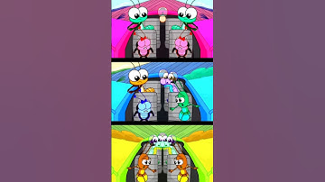 BOB ZOOM FUNNY REMIX SPARTA PITCH SPONSORED BY GAMAVISION