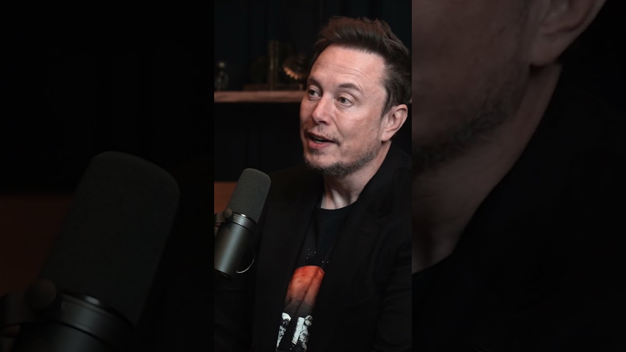 Elon Musk On Israel Palestine