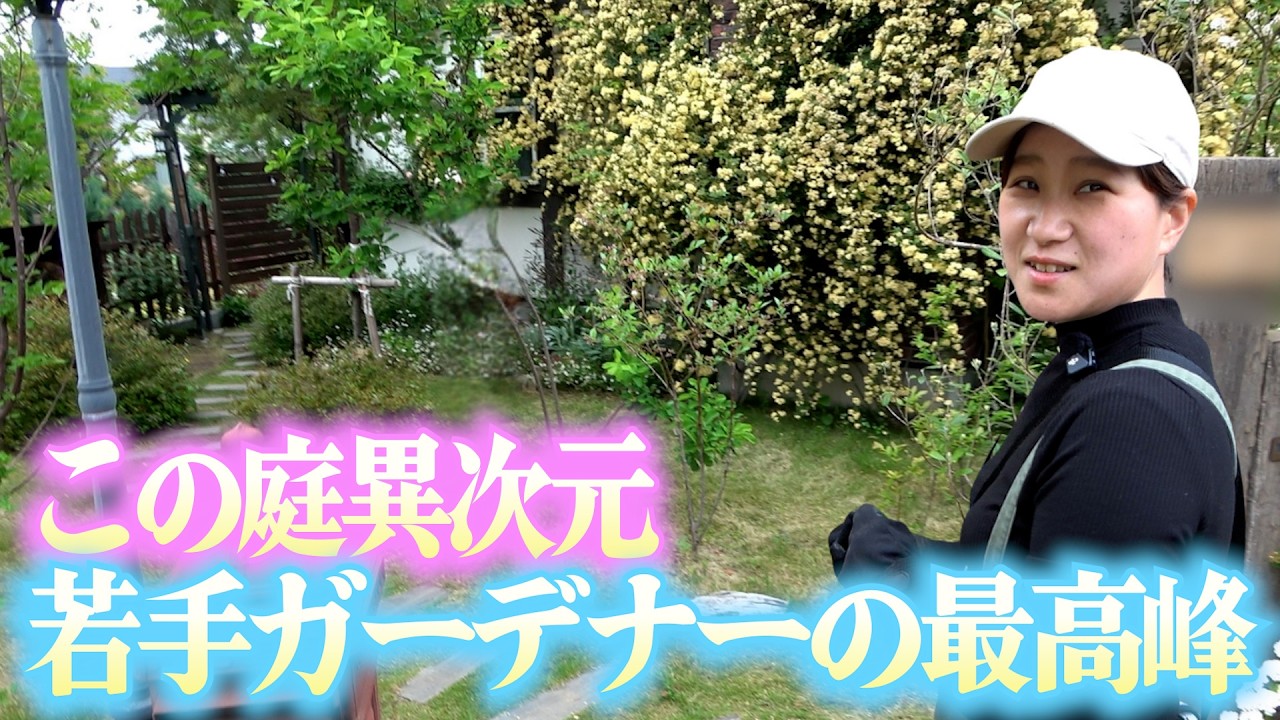 【最高峰】園芸歴は関係ない超若手ガーデナーのお庭が凄すぎた！！！！【個人庭】【ガーデニング】【園芸】【園芸初心者】【じゅんぺい君】