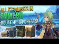 All 572 chests in sumeru  lokapala jungle  route 4  84 chests