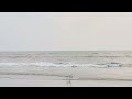 Calicut beach# evening beauty sea#