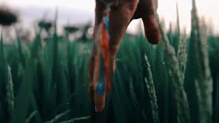 Beautiful Paradise Nature Raw Footage No Copyright Videos