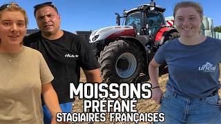 STAGIAIRES - PRÉFANÉ - MOISSONS