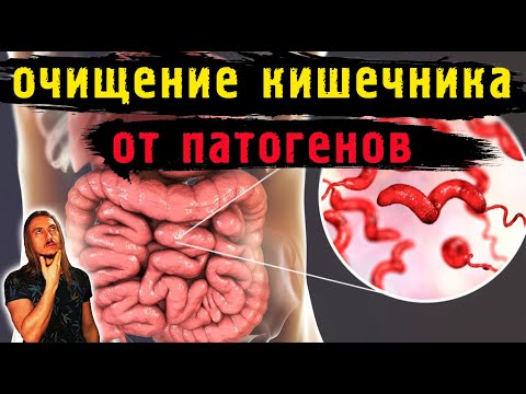 Очищение кишечника, квашеная капуста - прощайте, патогены!