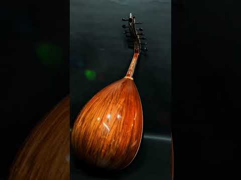 القلب يعشق علي عود من فئه A زند قطعه واحده من ابتكار محمود داغر تسلسل A777