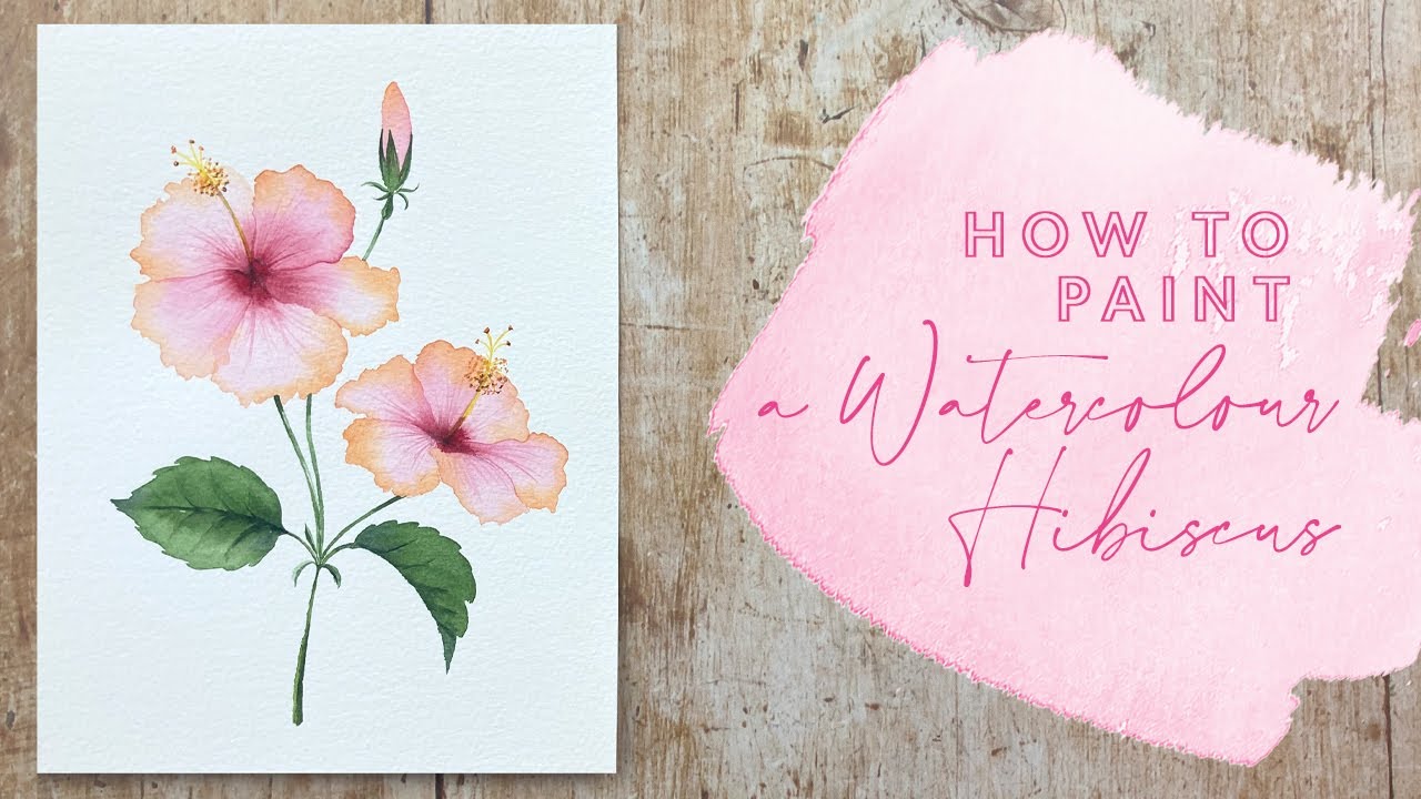 How to Paint a Watercolour Hibiscus