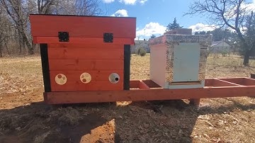 Modified Layens Hive
