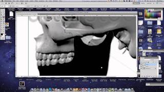 skull pt2 - lower jaw (no teef)