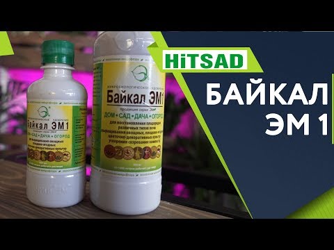 Video: Baikal EM-1 - Description, Instructions, Application Features