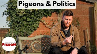 The Future of Pigeon Racing in the UK: Is the Sport in Trouble?