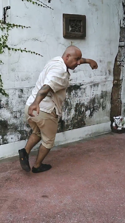 Rare and Ancient Tai Chi Monkeyfist Sequence