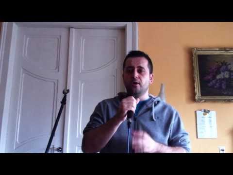 Holograf-Ochii tai (COVER by Mario Crisan)