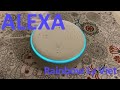 Alexa| Was passiert, wenn ich sage: Alexa, ich liebe dich |Unbox| Rainbow Ly Viet |Cuộc sống Đức