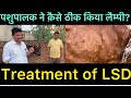 Treatment of lumpy skin disease l symptoms of LSD l dr umar khan