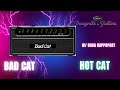 Усилитель-голова для гитар BAD CAT HOT CAT HEAD
