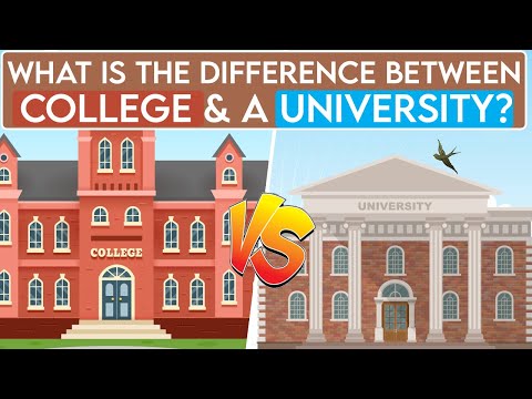 What is the Difference Between College and University ?