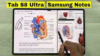 Note Taking on Samsung Tab S8 Ultra Using Samsung Notes - Top 24 Tips and Tricks