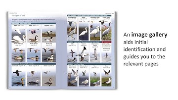 9780691158891 Britain