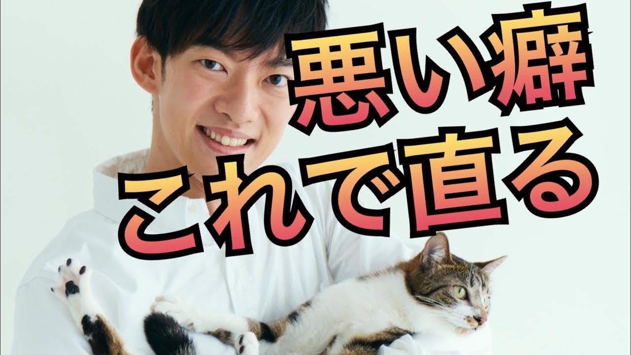 意志の力のいらない悪い癖の直し方 Youtube