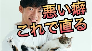 意志の力のいらない悪い癖の直し方