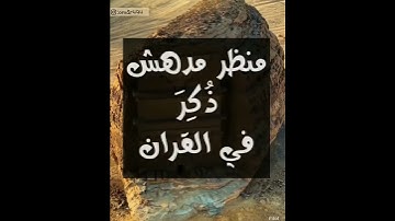 تلاوة روعة للشيخ عمر بن عبد العزيز