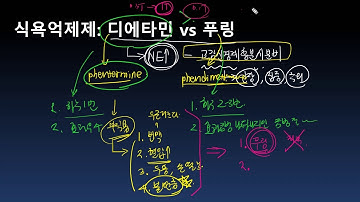 식욕억제제 - 디에타민 vs 푸링