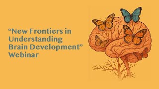 New Frontiers in Understanding Brain Development
