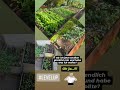 Ich habe zumindest nicht mehr, was ich nicht will!!! #levelup #garten #gemüse #harmony