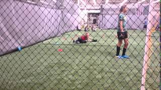 low diving catches older 11162015