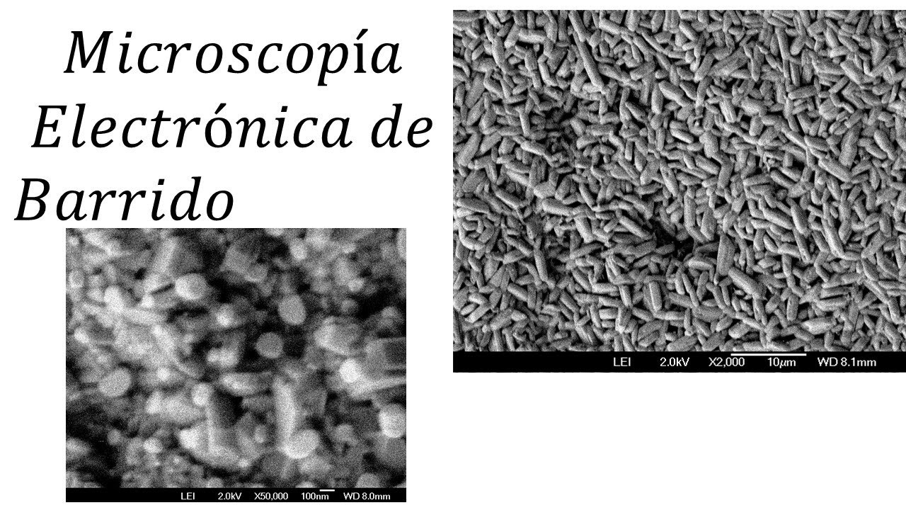 Microscopía Electrónica de Barrido YouTube