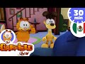 Los mejores momentos de Garfield y Odie - GARFIELD LATIN SPANISH