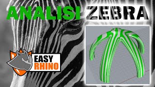 RHINOCEROS - ANALISI ZEBRA