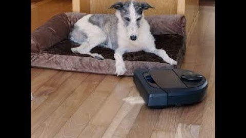 Review Neato Robotics D6 Connected Laser Guided Robot Vacuum for Pet Hair, Works with Amazon Alexa