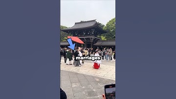 The Truth About Japanese Arranged Marriages