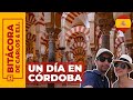 Qué ver en CÓRDOBA España en un día