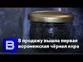 В продаже появилась первая воронежская чёрная икра