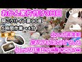 【片付け】おかん家片付け　黒い白飯黒卵　一層めくってカビ放題　開いて扉トイレ入り口90度