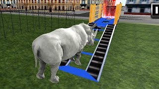 Wild Animal Zoo Transporter 3D Truck Driving Game #2 – Lái Xe Vận Chuyển Động Vật Hoang Dã screenshot 5