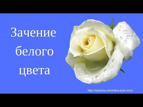 Сонник шторы сшить