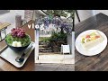 일상vlog |여름엔 빙수지(롯지190),퇴근후 agustD 디데이 티켓팅,오랜만에 브런치(그로어스),샌드위치먹으러 고대카페 기쁜소식,아르켓 쇼핑,프로토콜과 옥돌커피