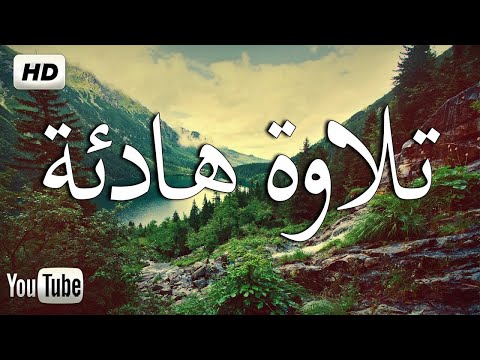 سورة القيامة بصوت القارئ عمر عبد الله