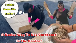 You’ll Never Throw Away Cardboard After Seeing This!