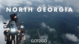 NORTH GEORGIA: From BRASSTOWN BALD to DAHLONEGA - the BEST places to visit screenshot 5