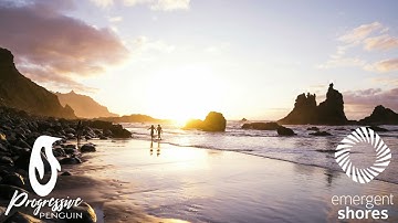 Life Stream - Altair (Extended Mix)