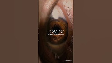 ياسر الدوسري   تلاوه خاشعه تلامس شغاف #قران_كريم