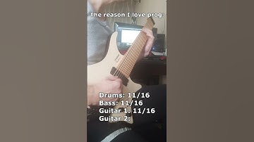 The reason I love prog metal - I can do anything #progressivemetal #strandberg #guitar #guitarist