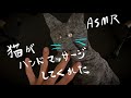 パペット猫がハンドマッサージするASMR