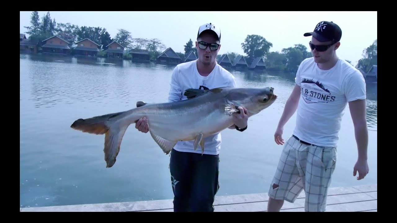 YouTube Fishing in Thailand: The Ultimate Guide